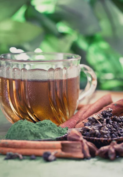 Chá Verde Fresco Com Folhas Chá — Fotografia de Stock