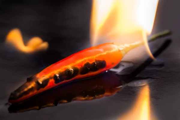 Pimentão Quente Vermelho — Fotografia de Stock