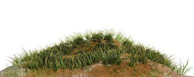 Beyaz arkaplanda çimen yaması izole edildi