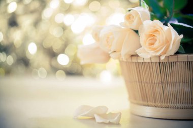 Bokeh 'in eski gülleri ve arka planı