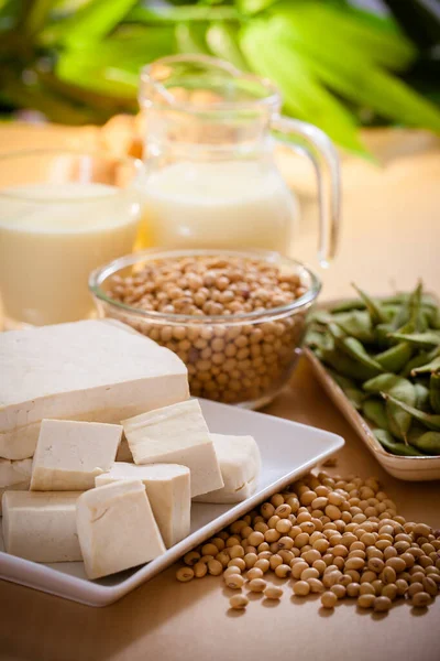 Soya fasulyesi, tofu ve diğer soya ürünleri.