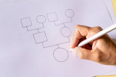 Ailesinin genogramını çizen kadın elinin yakın çekimi. Aile ağacı ve ataları kavramı. 