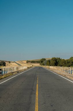 Güneşli bir günde asfalt bir yolun dikey görüntüsü..