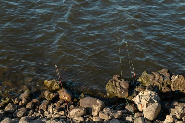 Widok Góry Trzy Wędki Łowiące Brzegu Jeziora — Zdjęcie stockowe