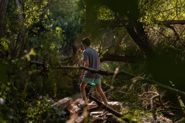 Ormanda yürüyen genç adam bir ışık huzmesi tarafından aydınlatılıyor.