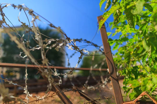 Çitin arkasındaki dikenli telin sığ derinliği
