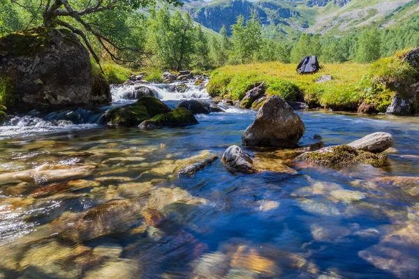 Hızlı bir dağ nehri deresini kayalık bir yatakta taşır.