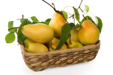 2015 armut sulu ve kokulu ürün sepet içinde