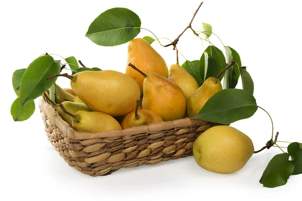 Pears-juicy and fragrant crop of 2015 in a basket — Stock Photo, Image