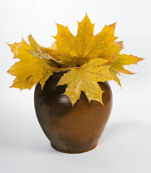 Ramo de hojas de otoño en una jarra de cerámica vieja — Foto de Stock