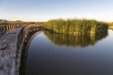 Köprü Tablas de Daimiel Milli Parkı İspanya ziyaret