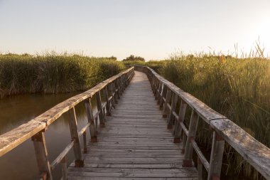 Köprü Tablas de Daimiel Milli Parkı İspanya ziyaret
