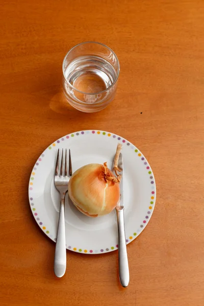 Onion on a plate — Stock Photo, Image