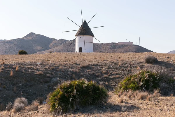 Windmill Pozo de los Frailes, Almeria, Spain — Stock Photo, Image
