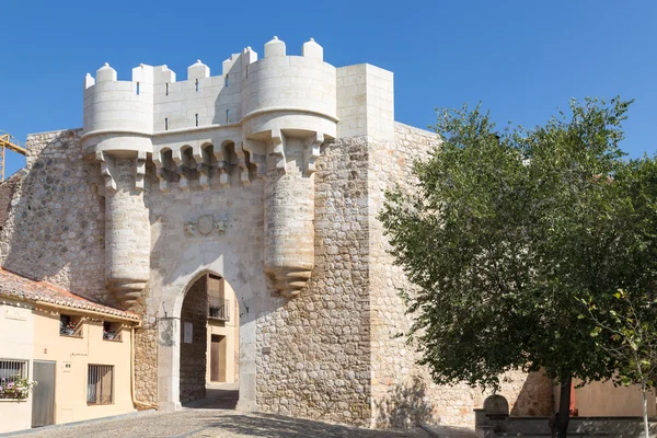 Door of Santa Maria, Hita, Guadalajara, Spain — Stock Photo, Image