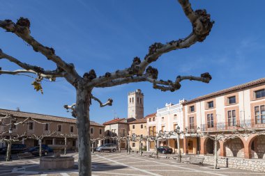 Plaza de la Villa, Torija, Guadalajara, İspanya