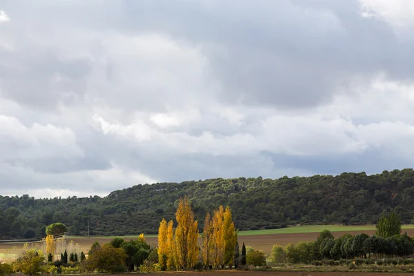 Fields in autumn — Stock Photo, Image