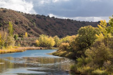 Rio Tajo
