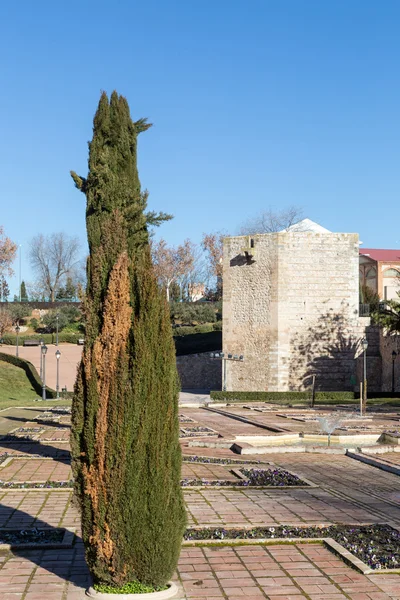 Tower of Alvar Fanez in Guadalajara, Spain — Stock Photo, Image