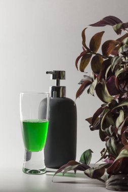 Temiz yeşil bir sıvı içeren siyah bir banyo sabunluğunun görüntüsü ve çeşitli renklerde yapraklı bir bitki, doğal hijyen ürünleri ile çevrelenmiş.