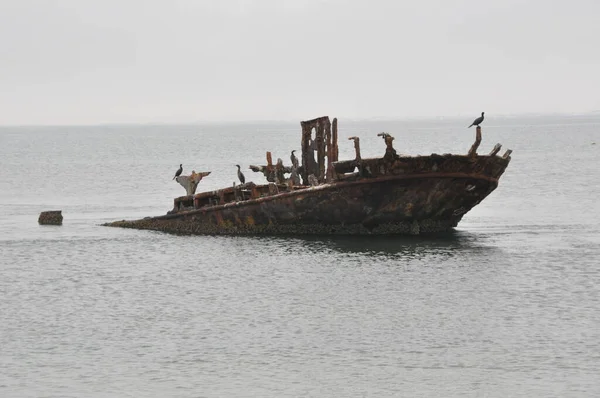 Nave Pesca Affondata Abbandonata — Foto Stock