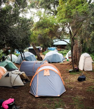 Lemosho 'nun ilk kampının etrafına dağılmış çadırlar. Kılavuzlar ve şerpalar Kilimanjaro Dağı 'na çıkıyorlar.