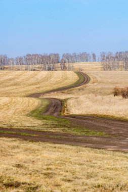 Bahar tarlalarında dolambaçlı bir yol