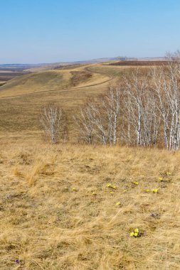 Altın tepelerde ilkbaharın başlarında