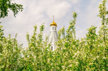 Krasnoyarsk, Rusya. 16 Mayıs 2020. Başmelek Aziz Mikail Kilisesi. Çiçek açan elma ağaçlarının arasında güzel bir Ortodoks kilisesi.