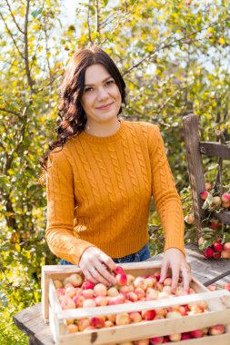 Genç bir kadın sonbahar bahçesinde elma topluyor.