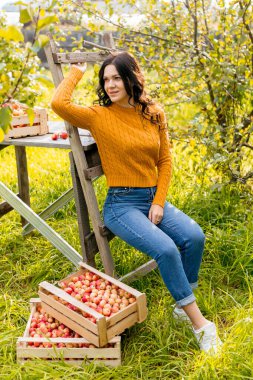 Genç bir kadın sonbahar bahçesinde elma topluyor.