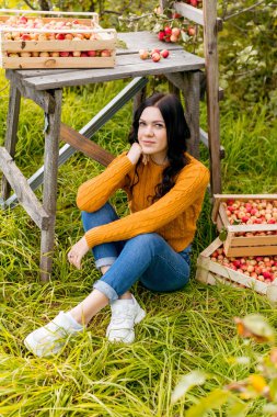 Genç bir kadın sonbahar bahçesinde elma topluyor.