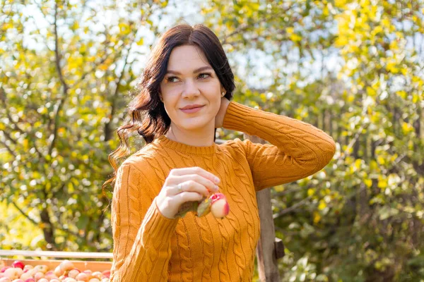 Genç bir kadın sonbahar bahçesinde elma topluyor.