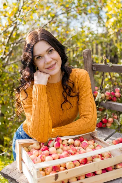 Une Jeune Femme Cueille Des Pommes Dans Jardin Automne — Photo