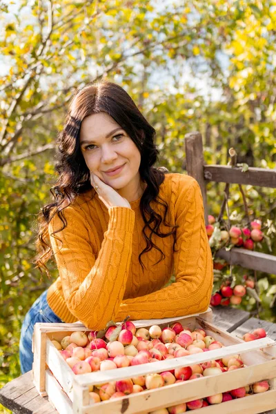 Une Jeune Femme Cueille Des Pommes Dans Jardin Automne — Photo