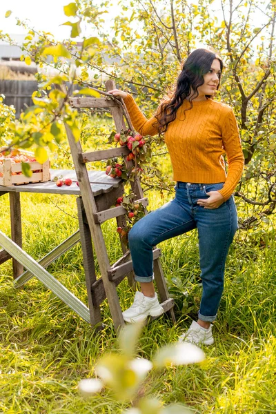 Uma Jovem Mulher Pega Maçãs Jardim Outono — Fotografia de Stock