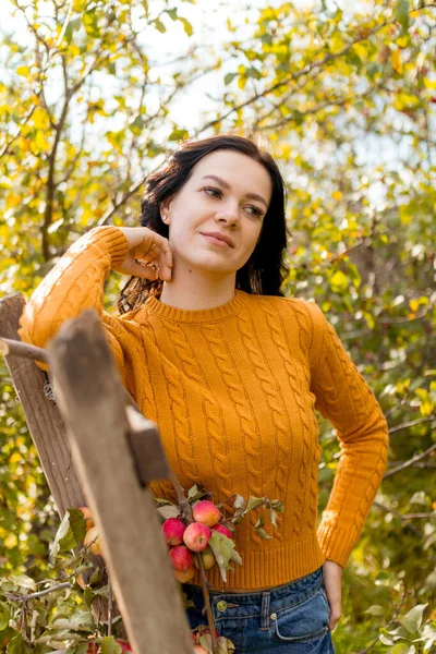 Une Jeune Femme Cueille Des Pommes Dans Jardin Automne — Photo