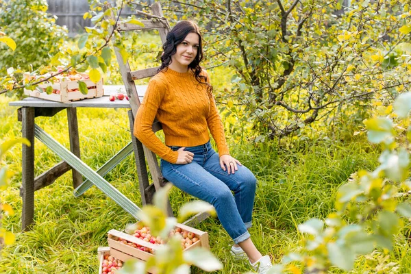 Une Jeune Femme Cueille Des Pommes Dans Jardin Automne — Photo