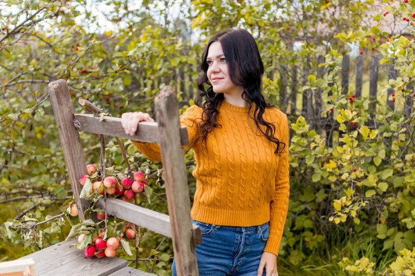 Młoda Kobieta Zbiera Jabłka Jesiennym Ogrodzie — Zdjęcie stockowe