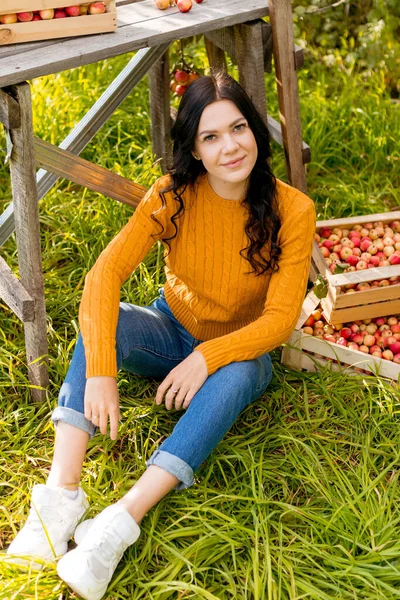 Une Jeune Femme Cueille Des Pommes Dans Jardin Automne — Photo