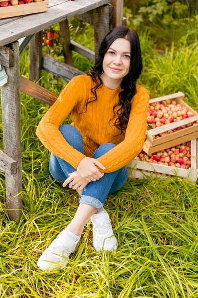 Uma Jovem Mulher Pega Maçãs Jardim Outono — Fotografia de Stock