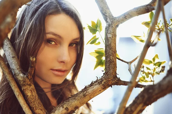 Portrait of beautiful girl in the tree crown sun — Stock Photo, Image