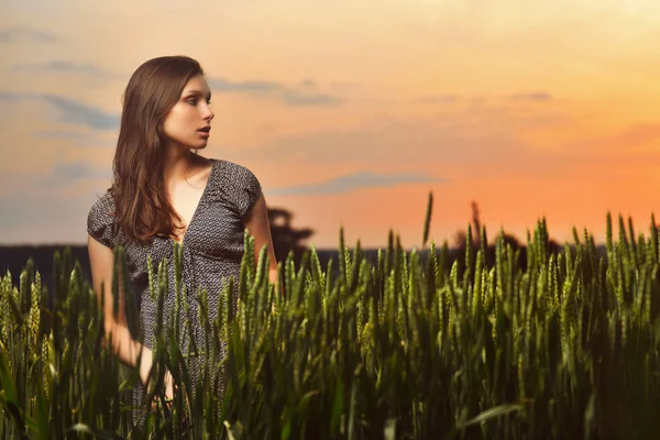 Junge Frau auf Feld im Sonnenuntergang — Stockfoto