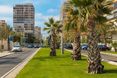 Tatil İspanya. Playa San Juan