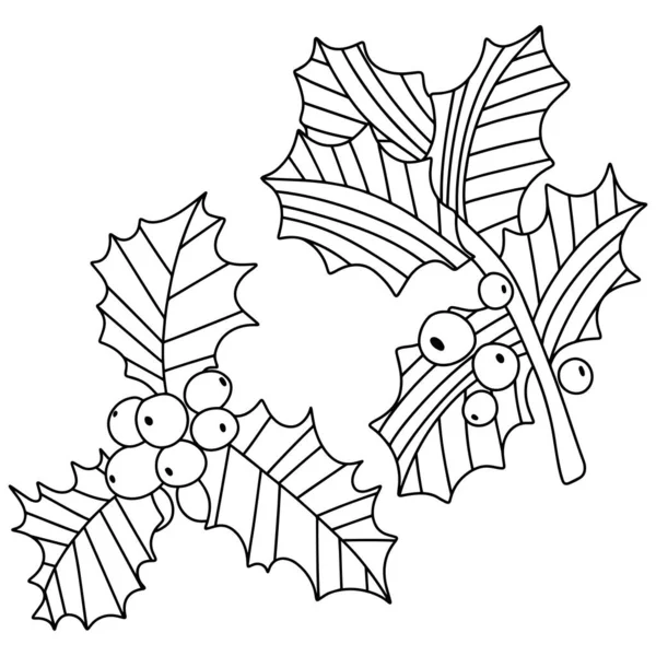 Twee Maretak Takken Kleuren Pagina Voorraad Vector Illustratie Grappige Winterplant — Stockvector