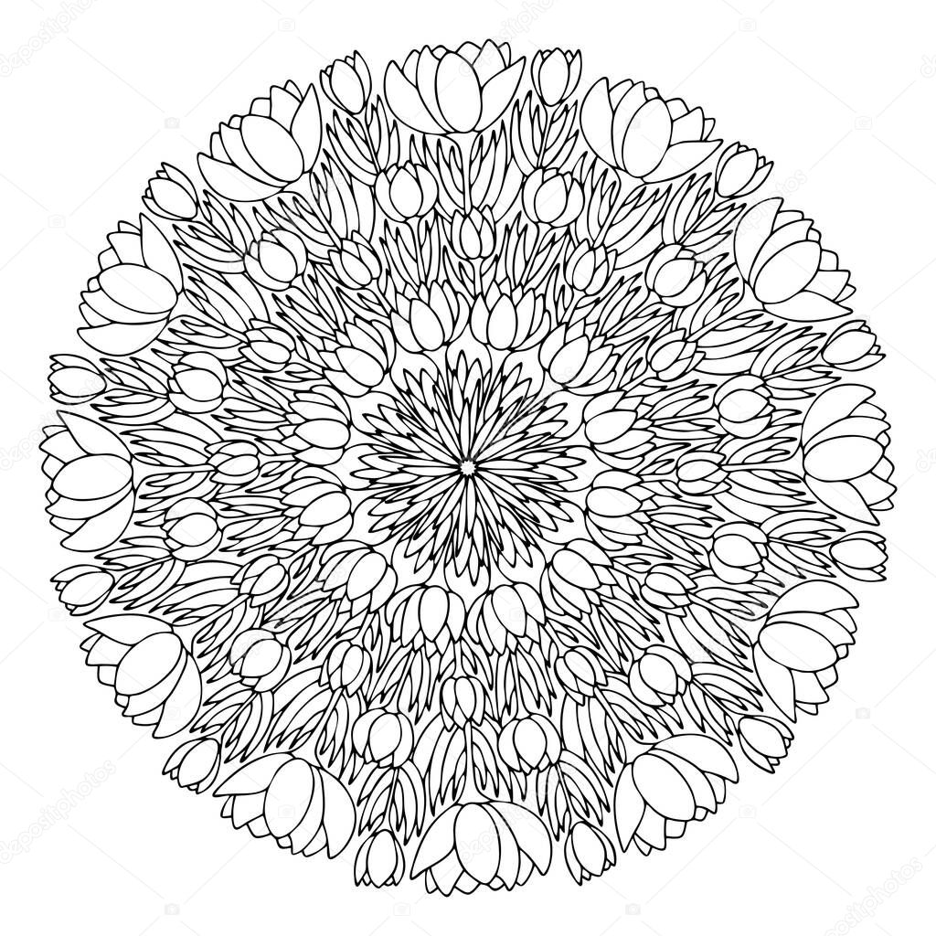 Blossom crocus flowers mandala line art stock vector illustration. Funny spring floral mandala black outline white isolated. Natural motif coloring book page for children and adults. One of a series