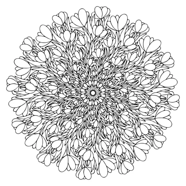 Цветы Крокуса Листья Ручной Работы Мандала Векторная Иллюстрация Запаса Цветущие — стоковый вектор