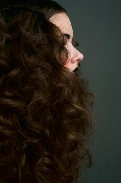 Profile of beauty brunette girl — Stock Photo, Image