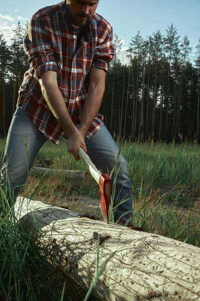 ひげを生やした木こりが木を切る — ストック写真
