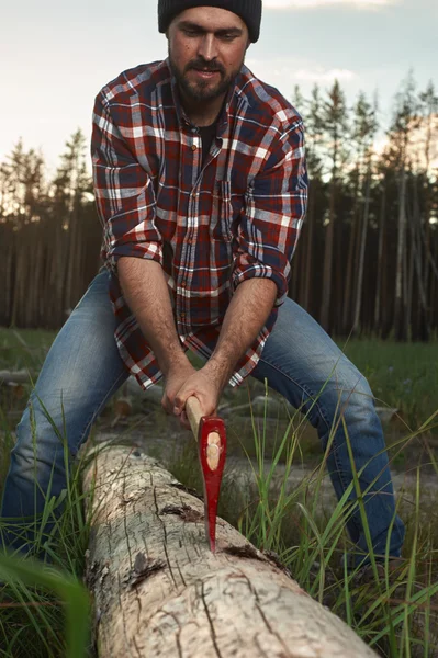 Leñador barbudo con sombrero y camisa cortan un árbol en el bosque — Foto de Stock